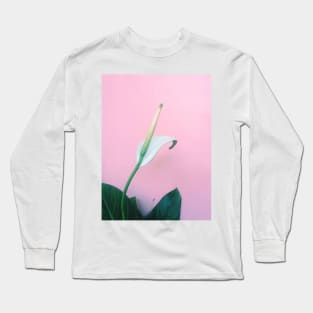 peace lily, lily, flower, peace, plant, white lily, calla lily, bloom, white, white flower, peace lily flower, spathiphyllum, peace flower, house plant, peace lily bloom Long Sleeve T-Shirt